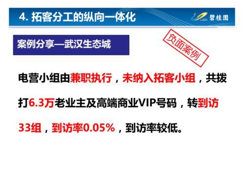 碧桂園營銷模式總結(jié) 做房地產(chǎn)真正的經(jīng)營者